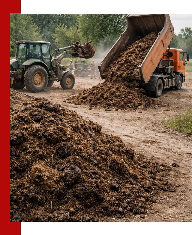 Доставка навоза самосвалами в Азнакаеве для сельхозпотребностей