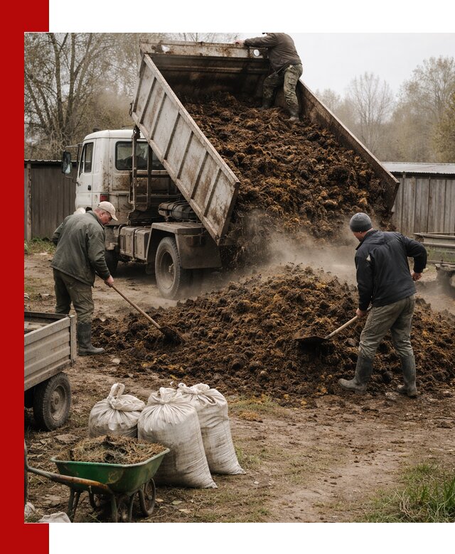 Доставка коровьего навоза самосвалом в Азнакаеве